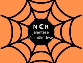 NER jelentése és működése