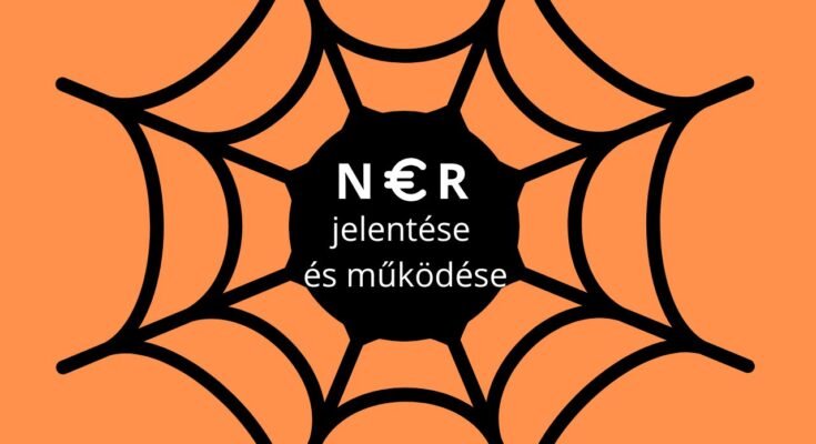 NER jelentése és működése