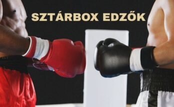 sztárbox edzők