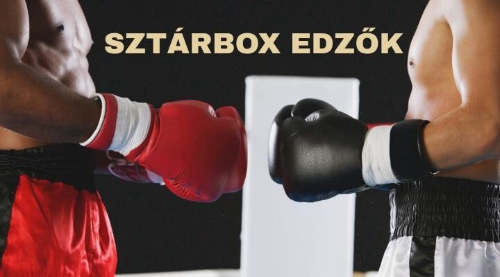 sztárbox edzők