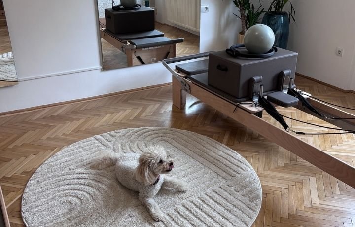 kutyabarát pilates stúdió