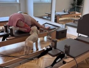 st pilates kutyabarát