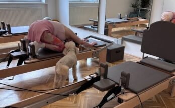 st pilates kutyabarát
