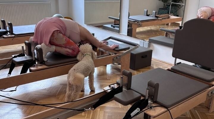 st pilates kutyabarát